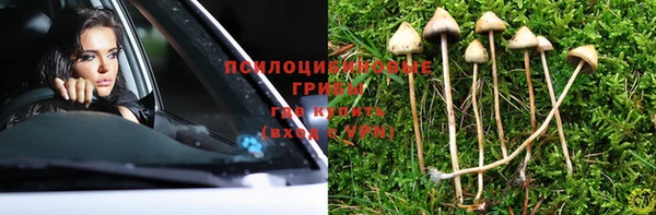 гидра Аркадак
